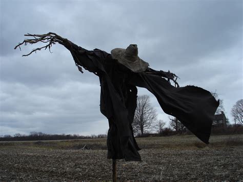 Harvest of Horror: The Curse of Scarecrows Unveiled